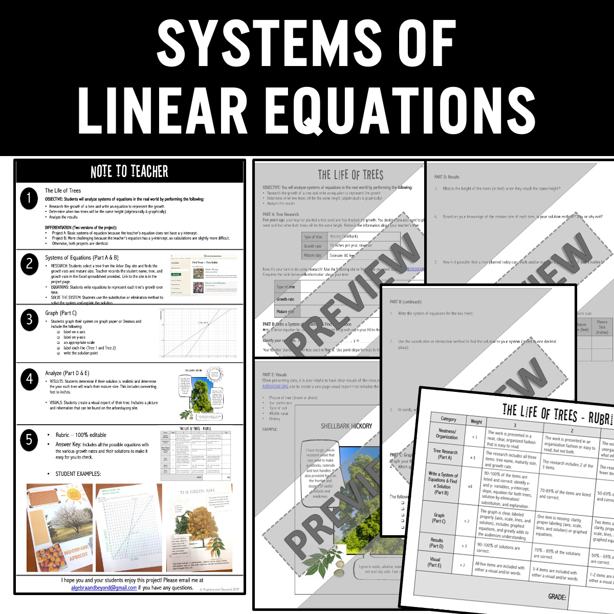 Algebra Real-World Projects Bundle - Fun Review Activities Practice Worksheets