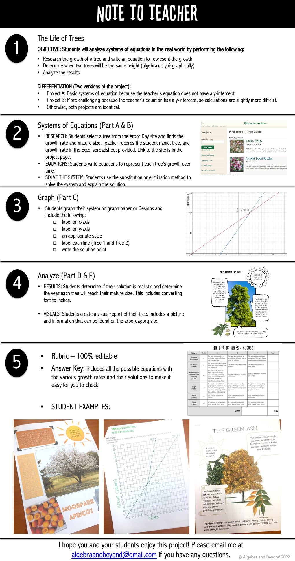 Real World Systems of Linear Equations | Project Based Learning